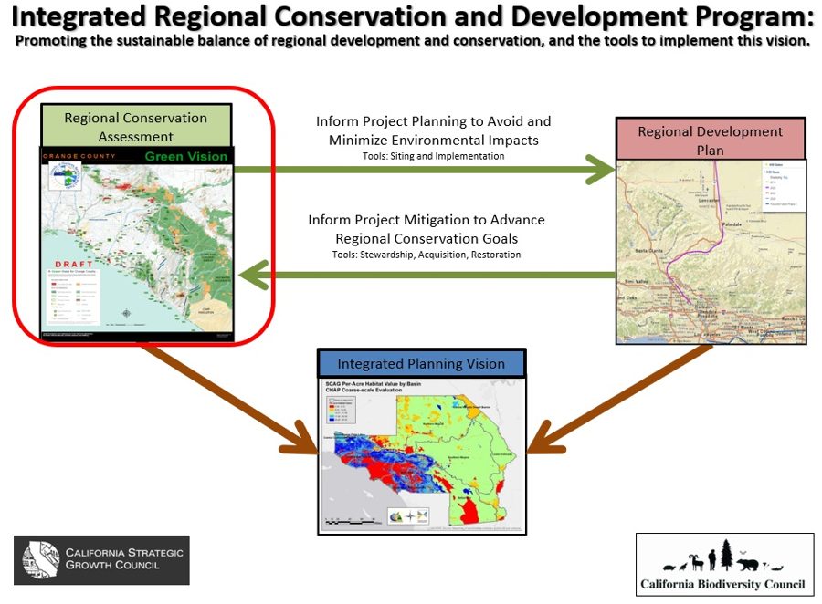 Diagram of the Integrated Regional Conservation and Development Program linking a regional conservation assessment, a regional development plan, and an integrated planning vision