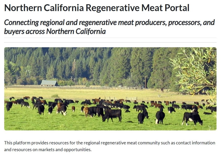 The Northern California Regenerative Meat Portal home page, with cattle grazing in a pasture